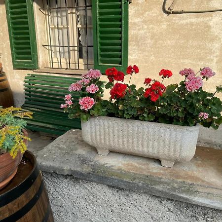 The Montevecchia Home - Frida Apartment Exteriér fotografie